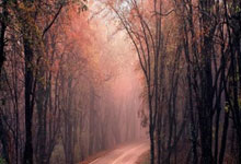 运动员备战漂亮,志在金牌