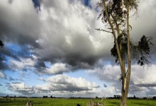 里昂客场逆袭成功,取得惊险胜利