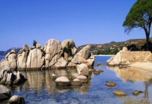 快船队宣布助教团队完善调整