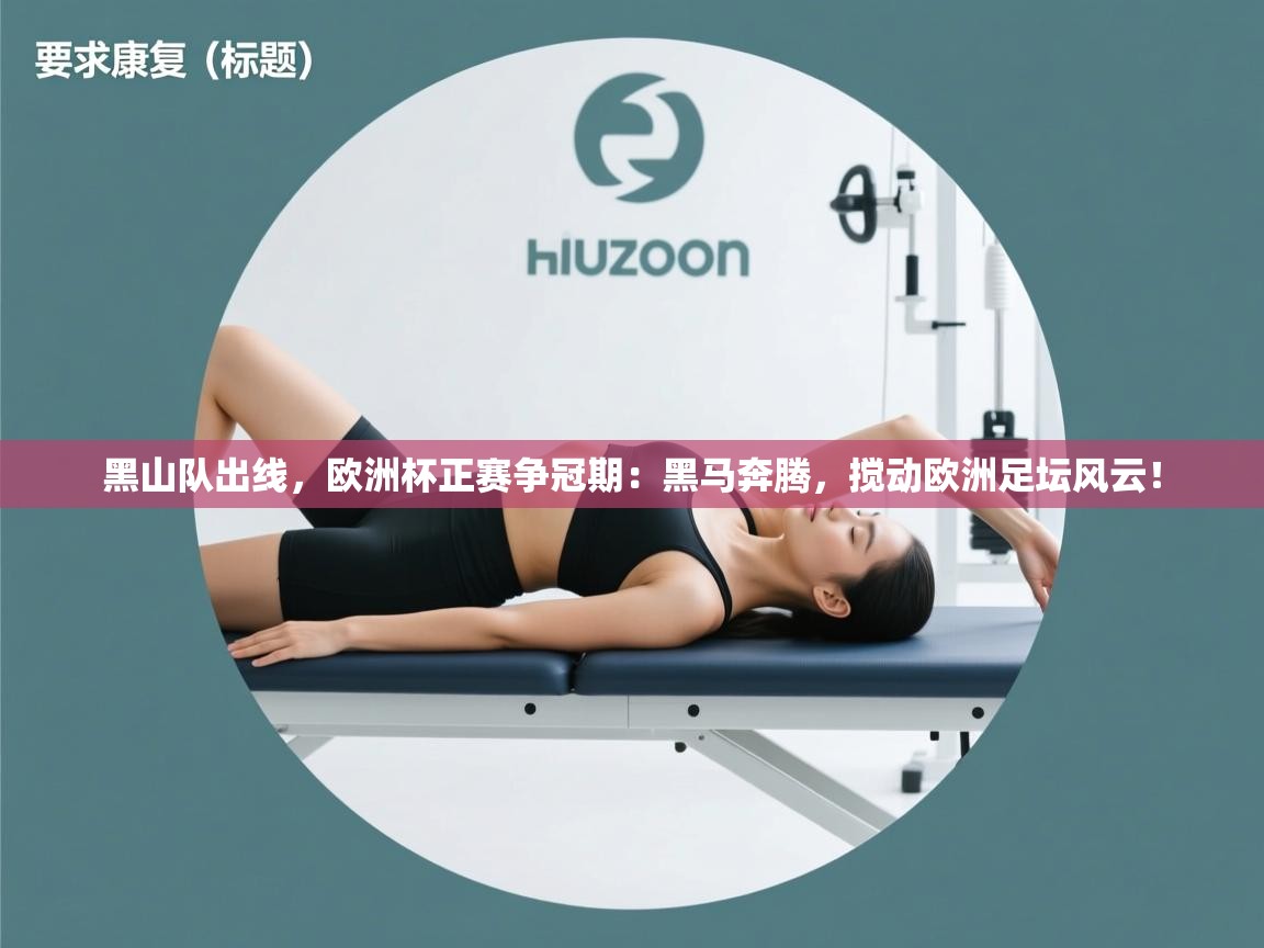 黑山队出线,欧洲杯正赛争冠期:黑马奔腾,搅动欧洲足坛风云! 第2张